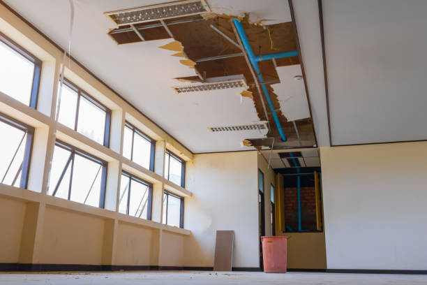 Best Professional water damage repair  in Rosemount, OH