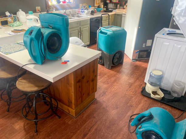 Best Sewage cleanup and water damage restoration  in Rosemount, OH