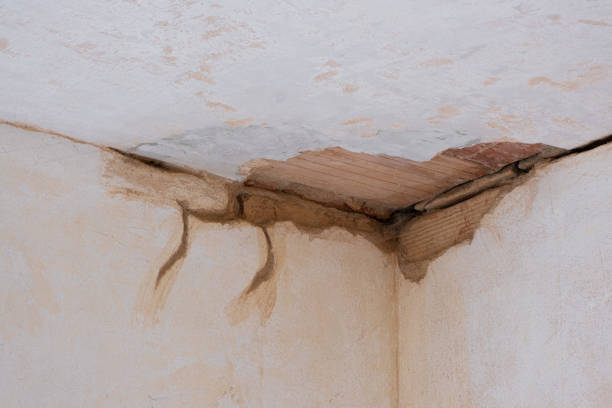 Best Local water damage restoration  in Rosemount, OH