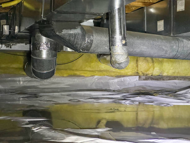Best Professional water damage repair  in Rosemount, OH