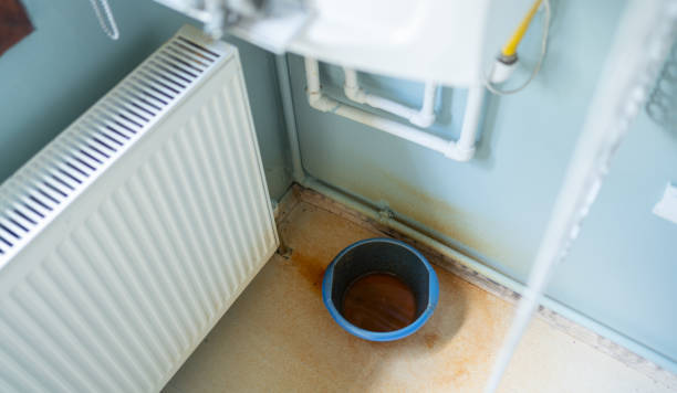 Best Ceiling water damage repair  in Rosemount, OH