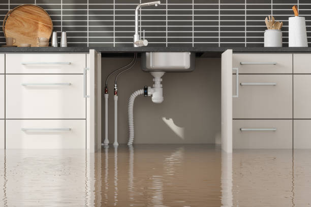Reliable Rosemount, OH Water damage restoration Solutions