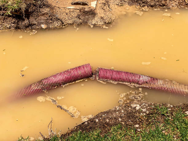 Best Mold removal after water damage  in Rosemount, OH