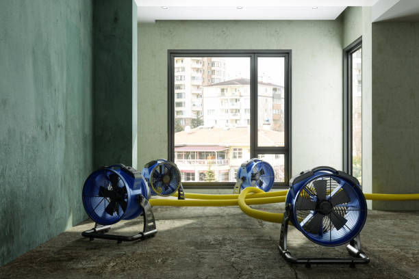 Best Residential water damage restoration  in Rosemount, OH