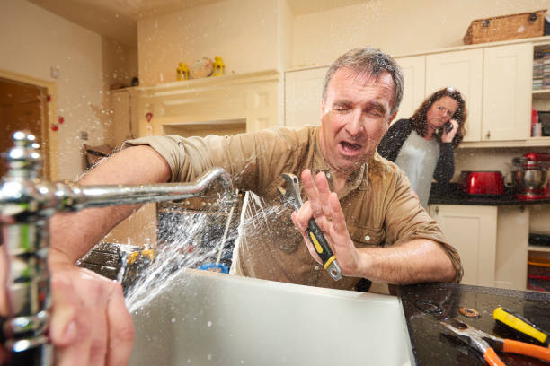 Best Mold removal after water damage  in Rosemount, OH